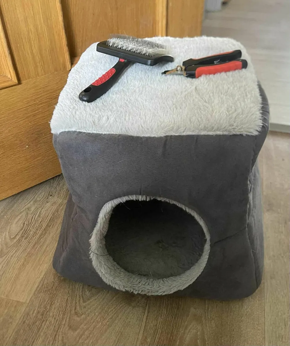 pet accessories - Image 1