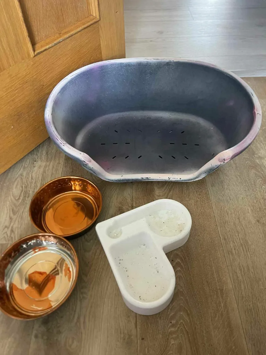 pet accessories - Image 3