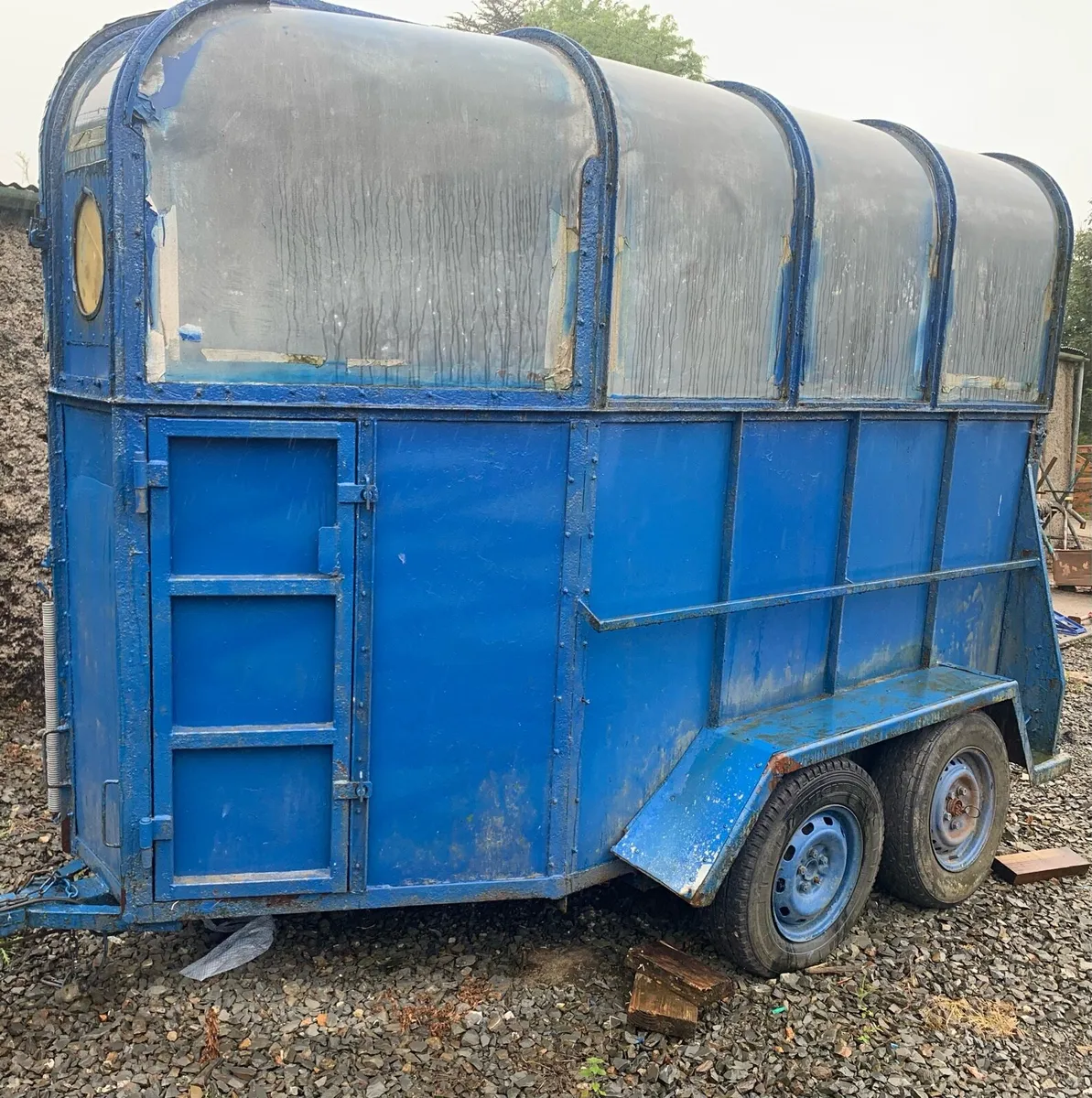 Horse box - Image 3