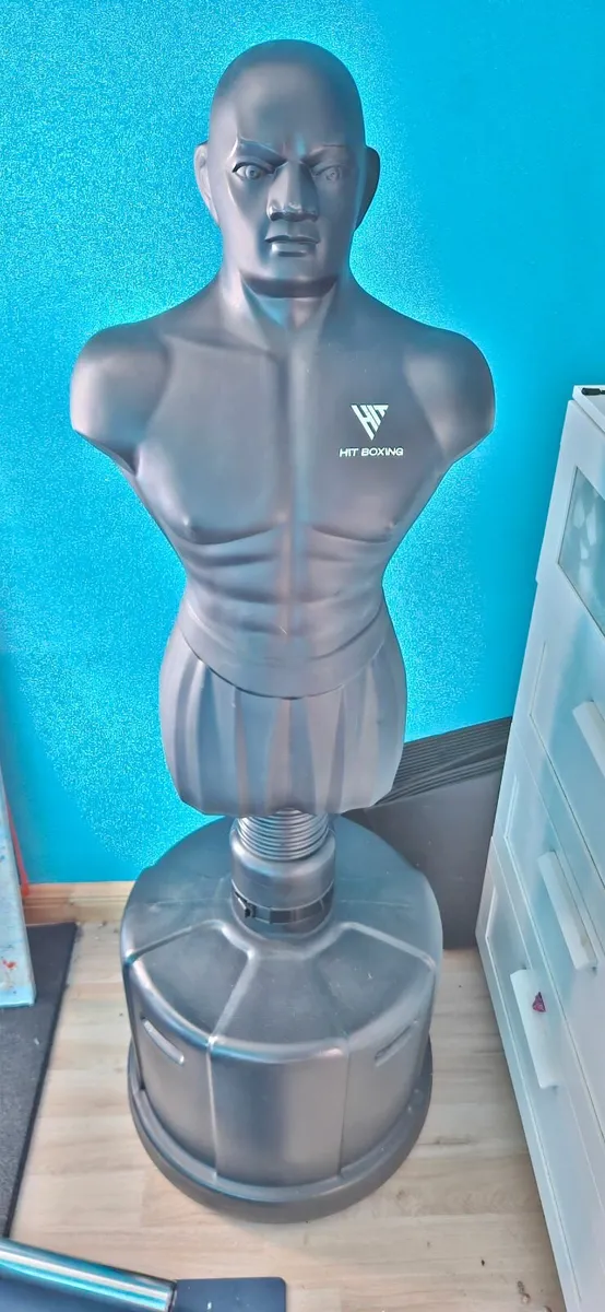 PUNCH BAG - Image 1