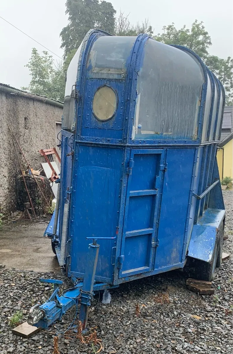 Horse box - Image 4