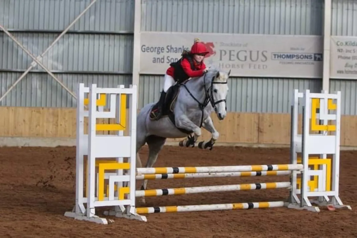 Horse - Image 2