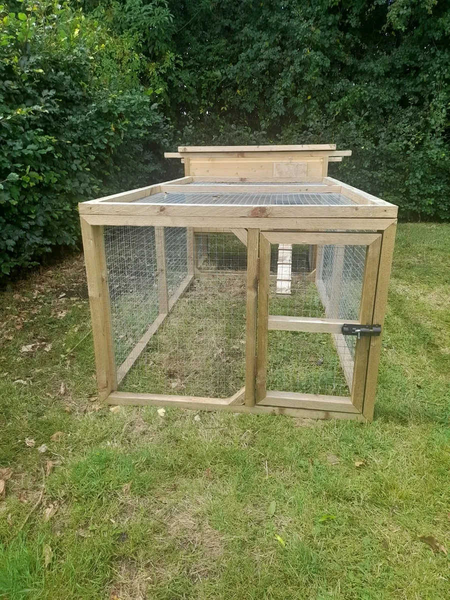 Chicken Coup - Image 2
