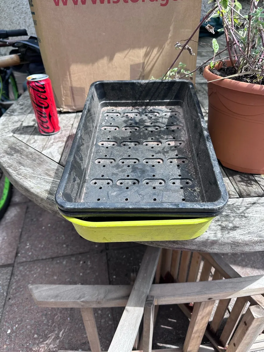 3 seed trays - free