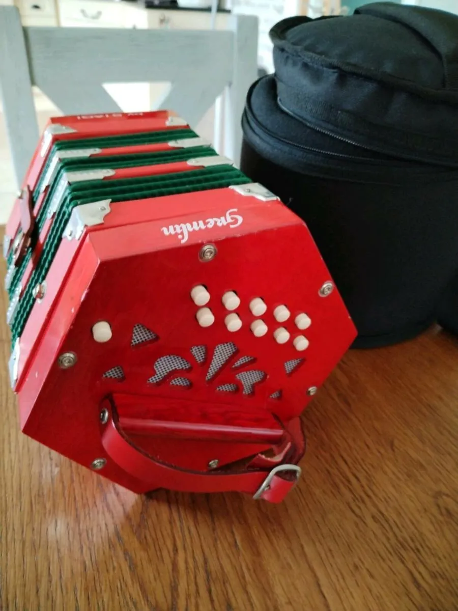 Gremlin by Stagi 21 button Concertina - Image 3