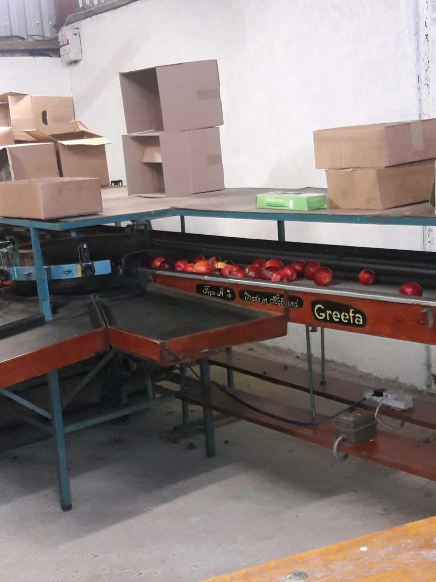 Apple Grader - Image 2