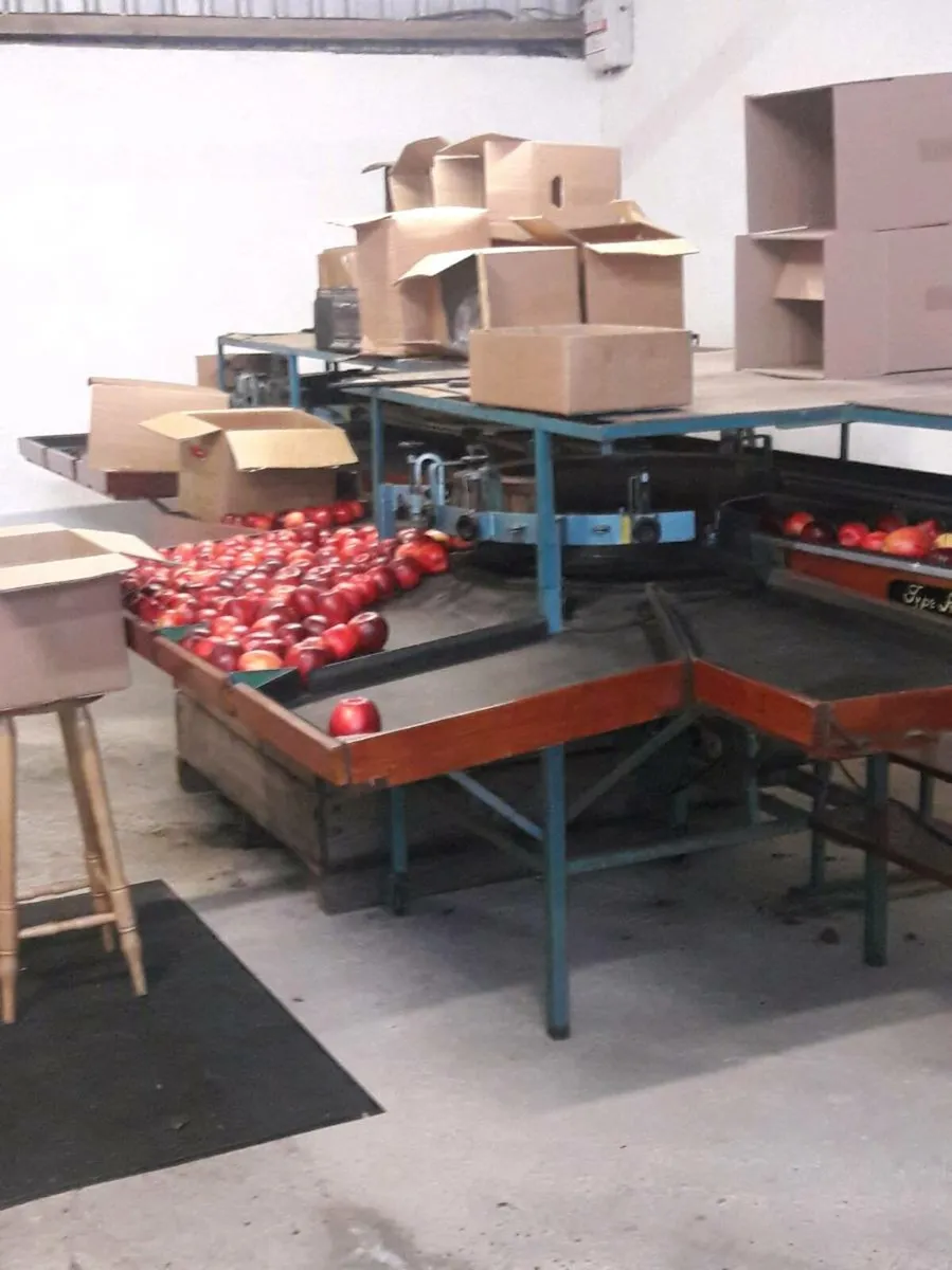 Apple Grader - Image 1