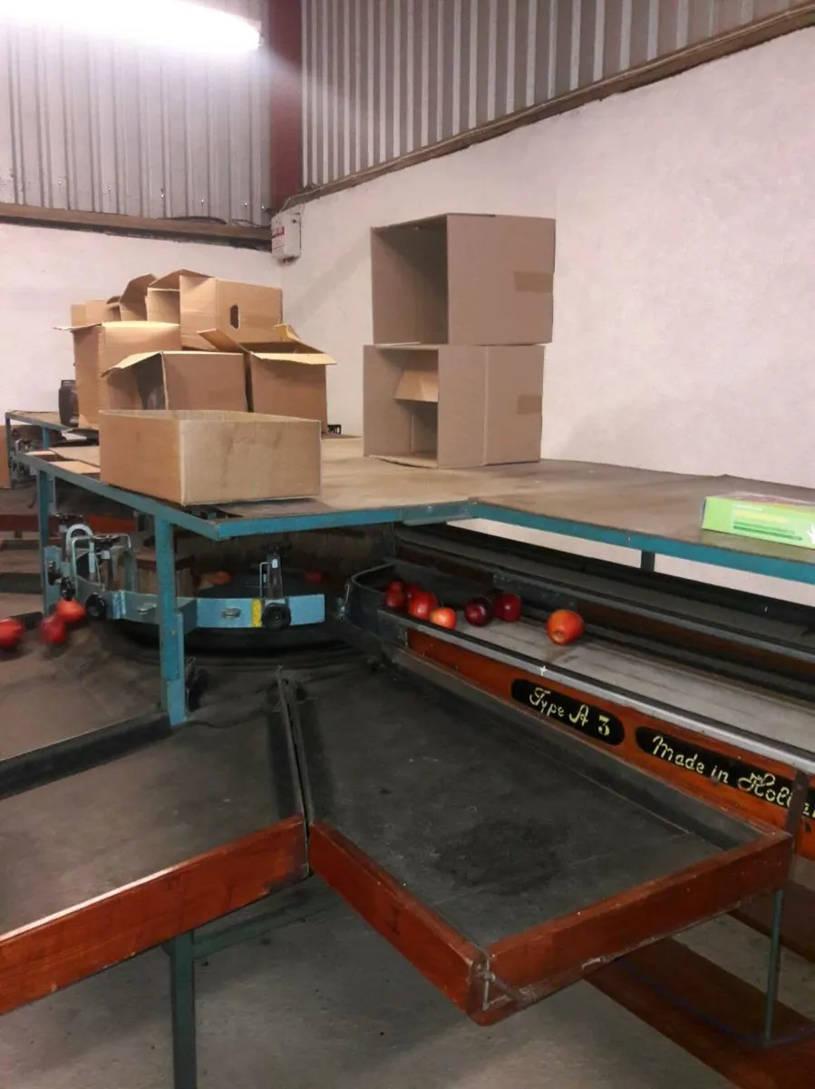 Apple Grader - Image 3