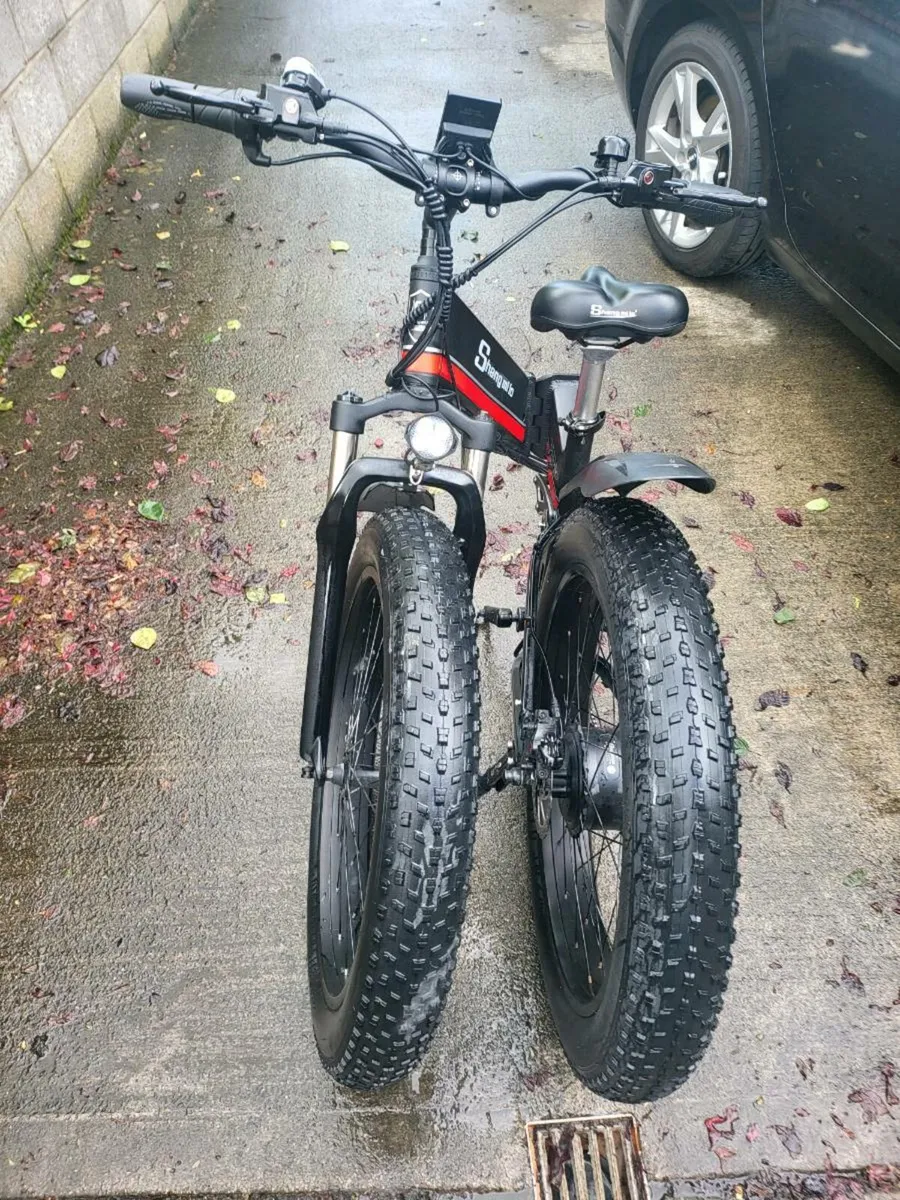 Ebike - Image 4