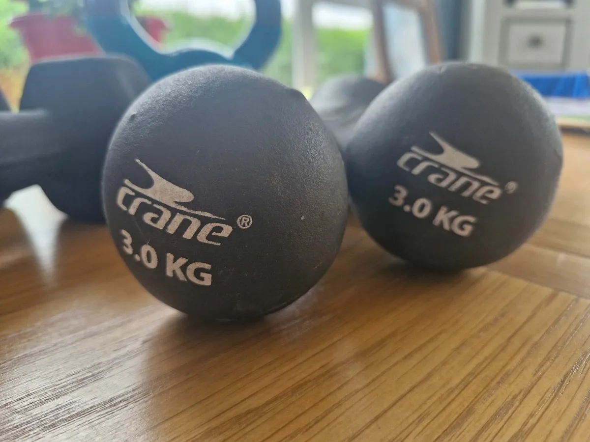 Weights - Image 4