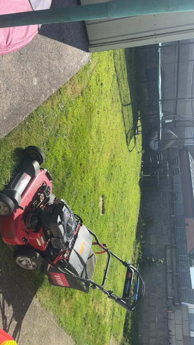 Lawnmower - Image 1