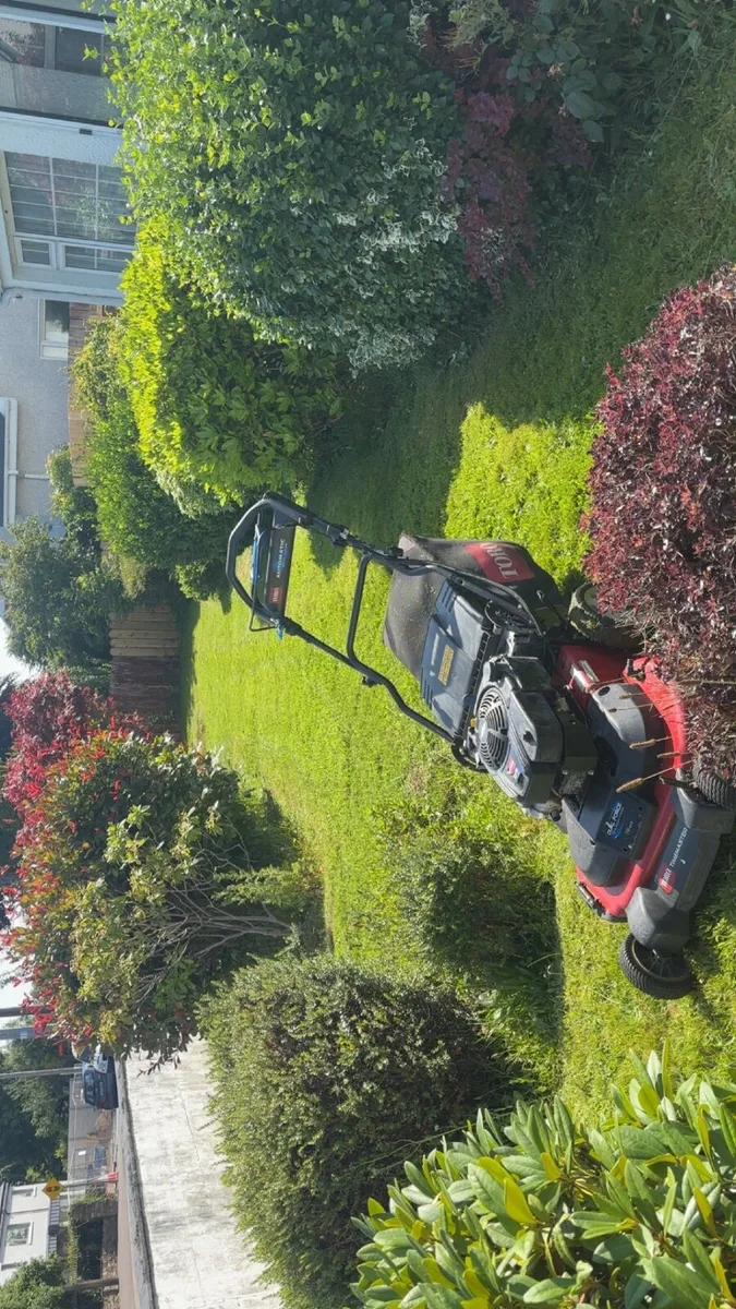 Lawnmower - Image 4
