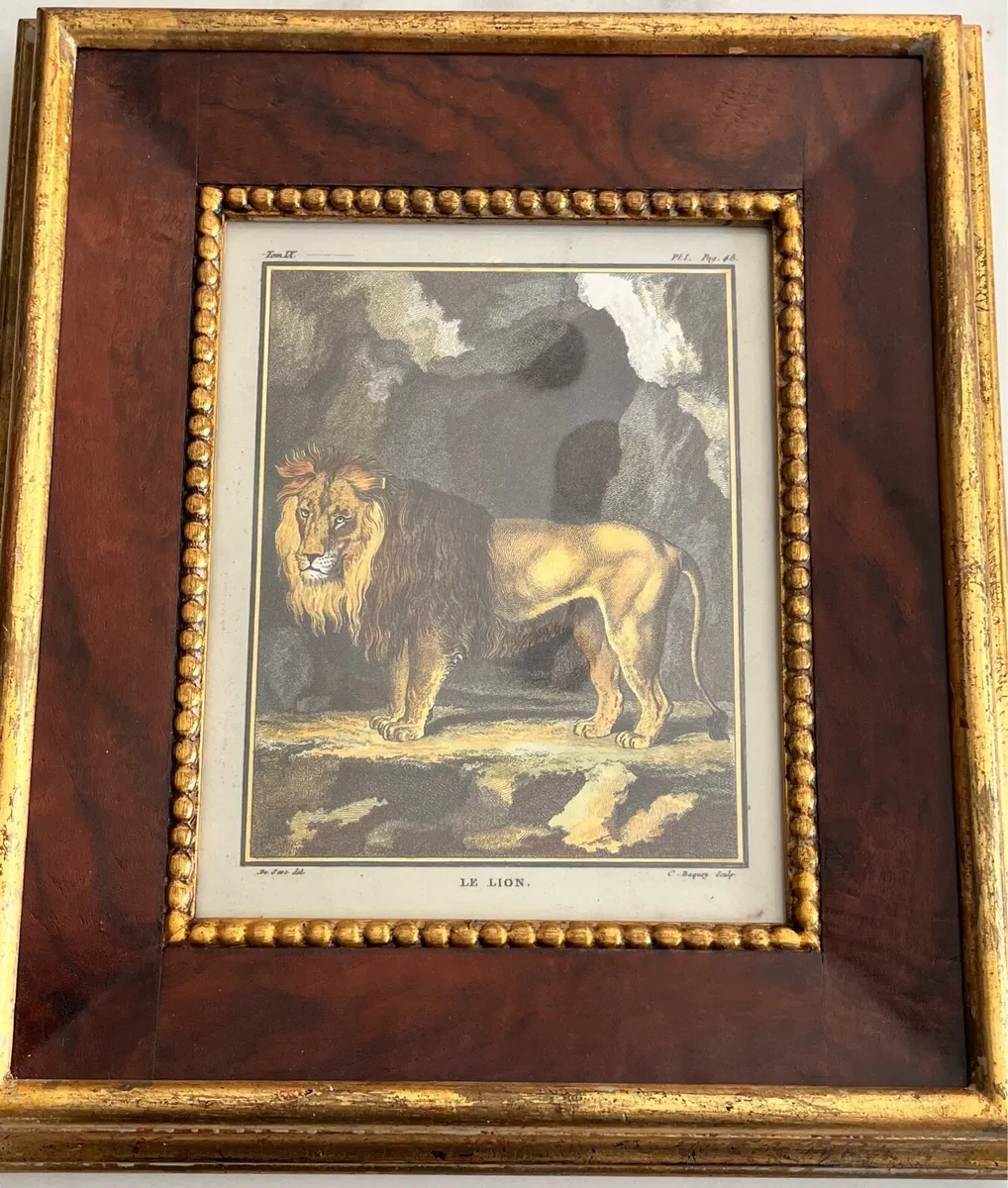 Two Collectible Framed Prints - Image 1