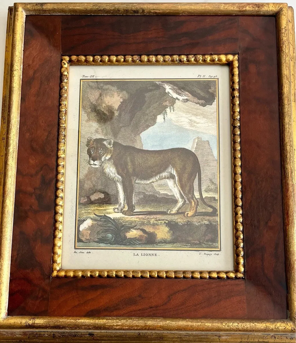 Two Collectible Framed Prints - Image 2