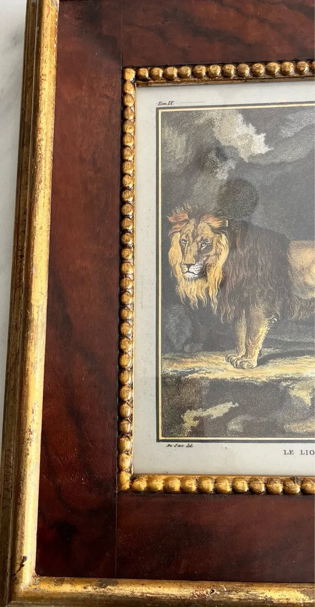 Two Collectible Framed Prints - Image 4
