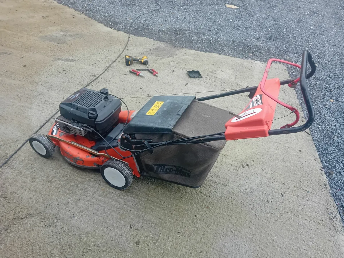 Oleo mac 6hp push more - Image 3