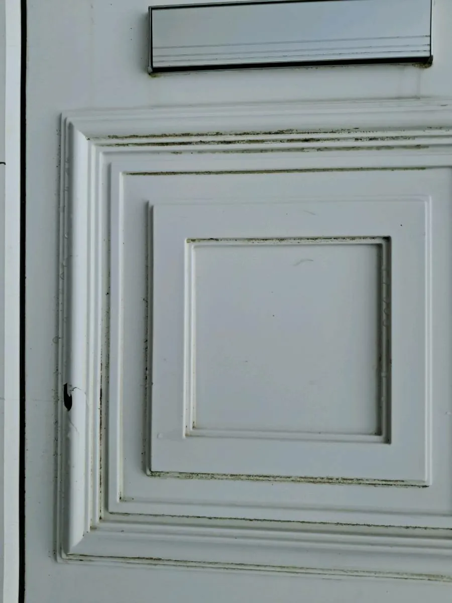 Door external - Image 2