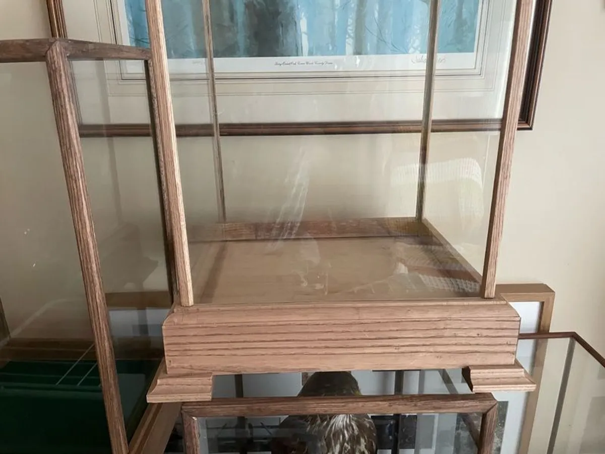 Glass cases - Image 3