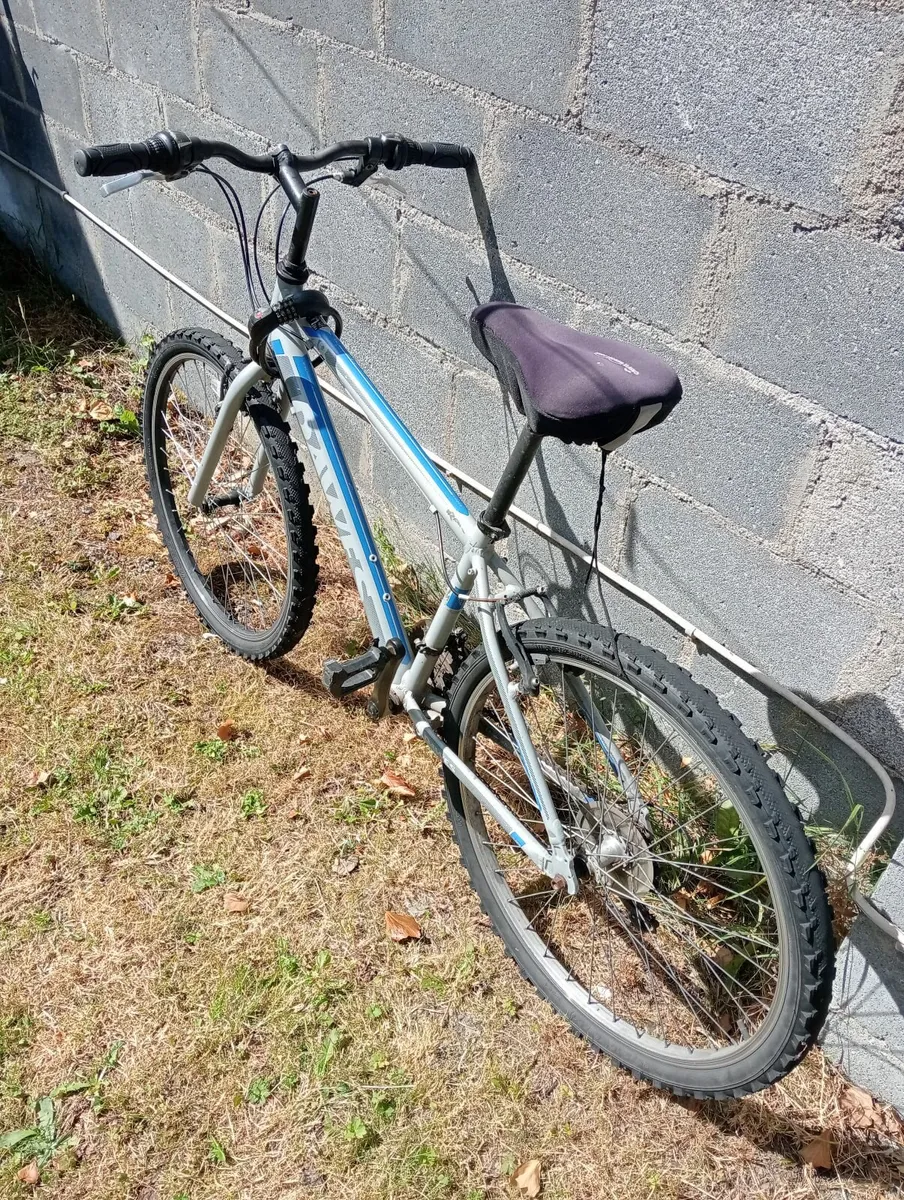 Bicycle - Image 3