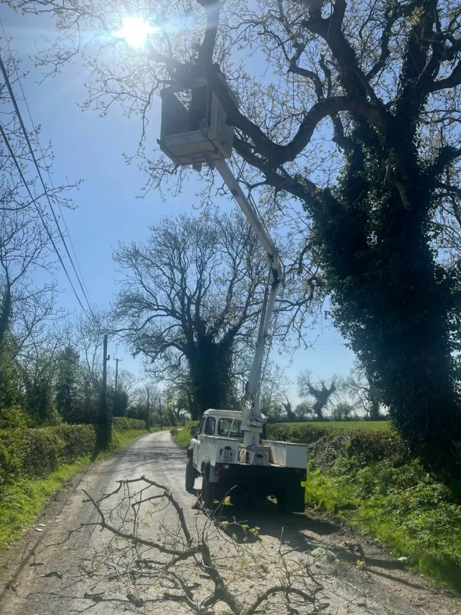 Defender 130 1993 | Cherry Picker - For Sale