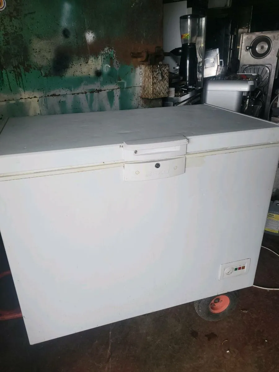Freezer Chest Freezer BEKO - Image 2