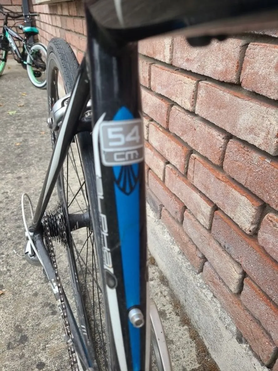 Trek Road Bike - Image 4