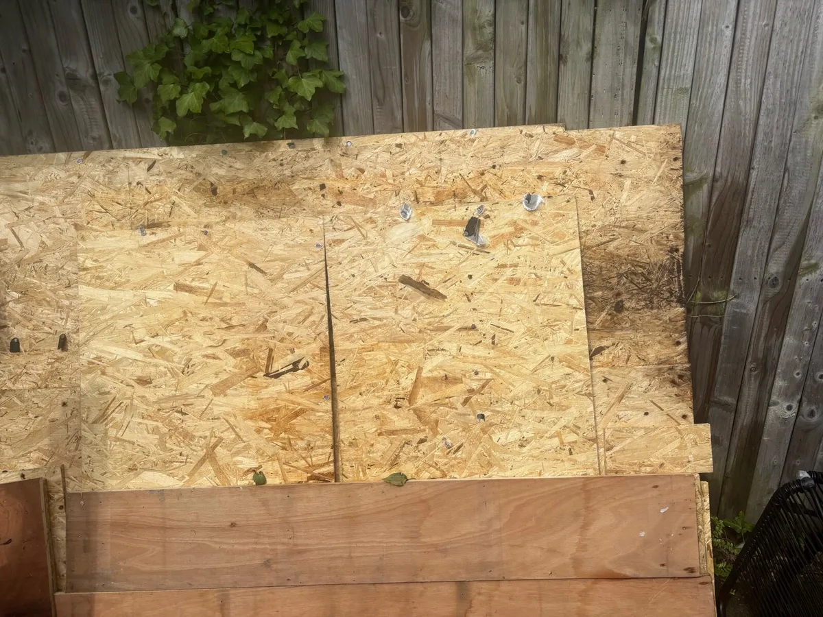 Timber - Image 4