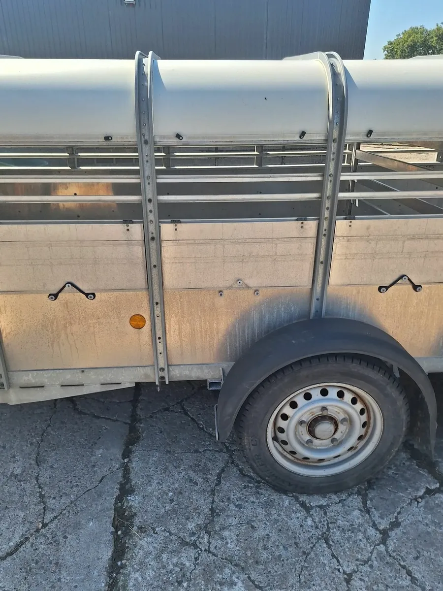 Sheep trailer - Image 2