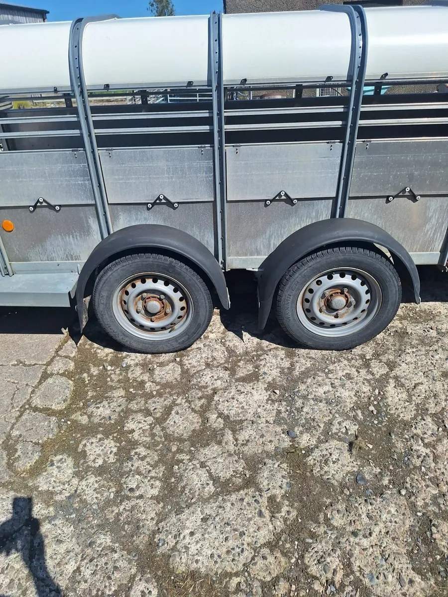 Sheep trailer - Image 3