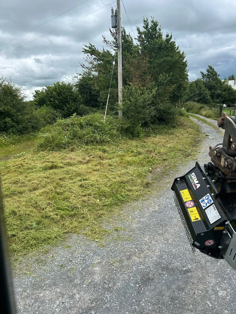 Hedge cutting galway - Image 4