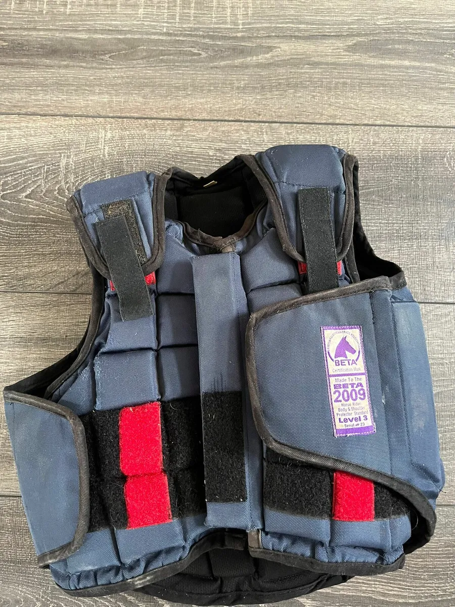 Horse riding body brace - Image 1