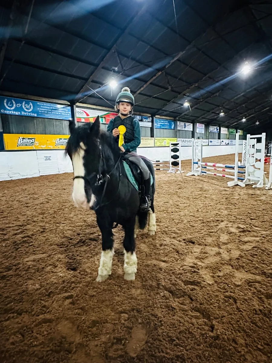 Horse - Image 4
