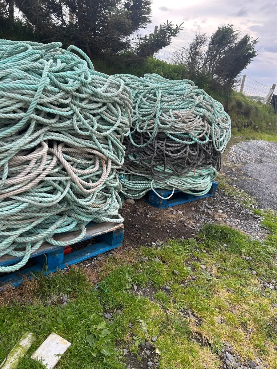 Rope - Image 1