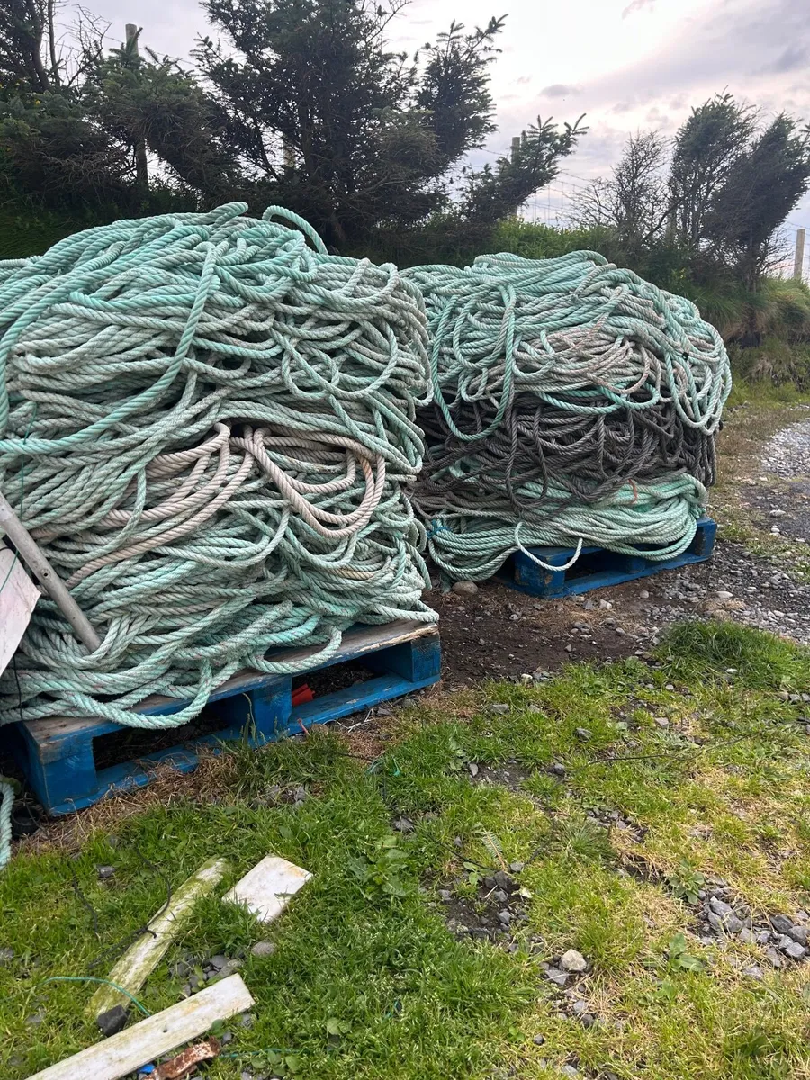 Rope - Image 2