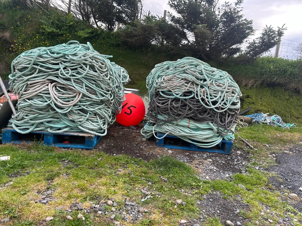 Rope - Image 3