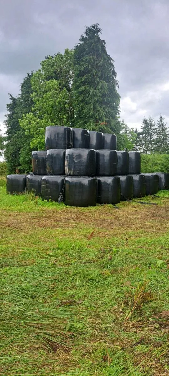 Silage Bales