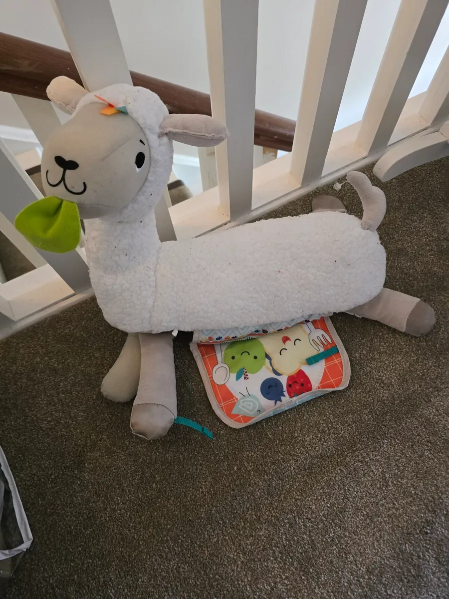 Tummy Time Newborn Toys - Mint