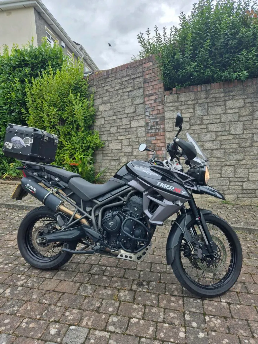 Triumph - Image 2