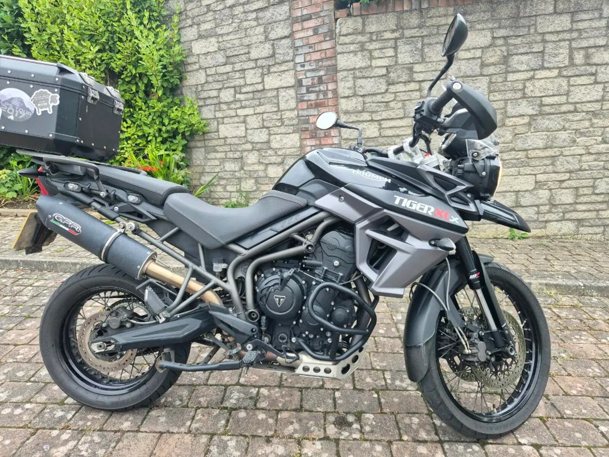 Triumph - Image 3