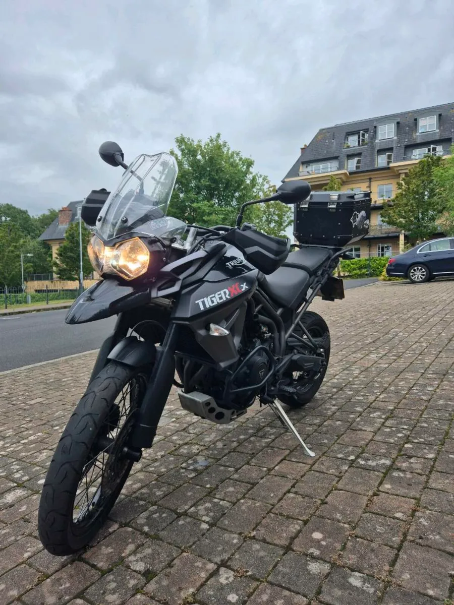 Triumph - Image 4