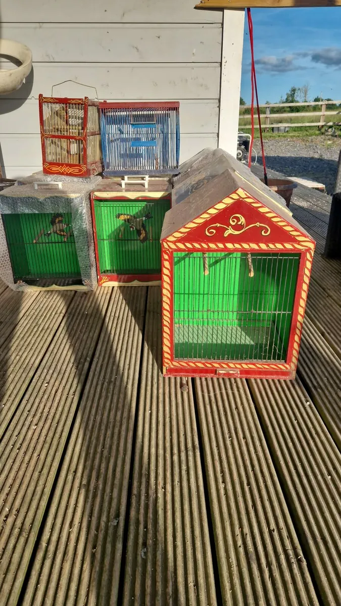 bird show boxes - Image 1