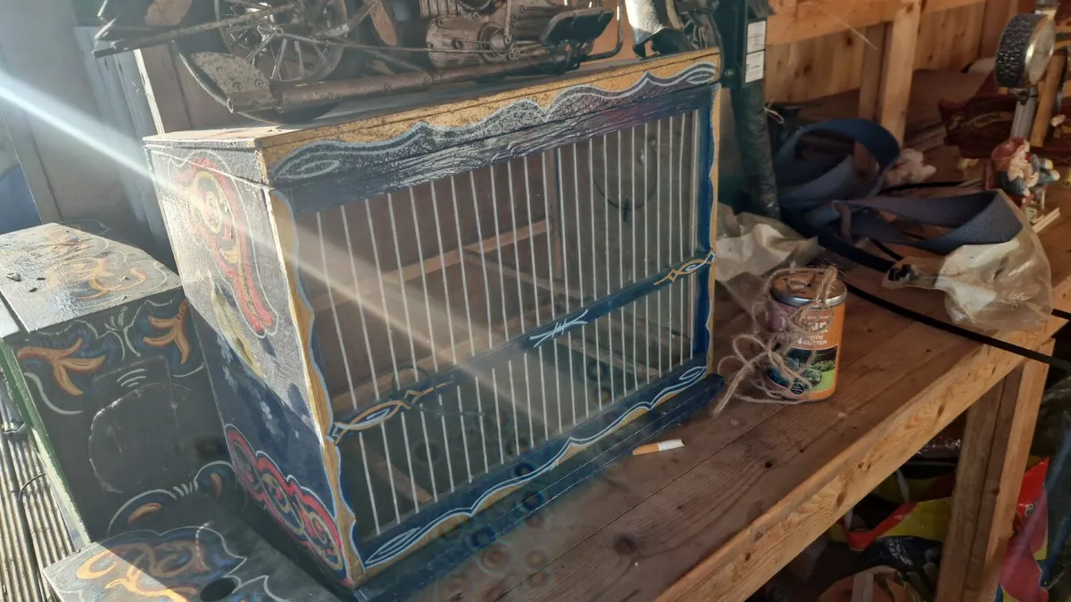 bird show boxes - Image 4