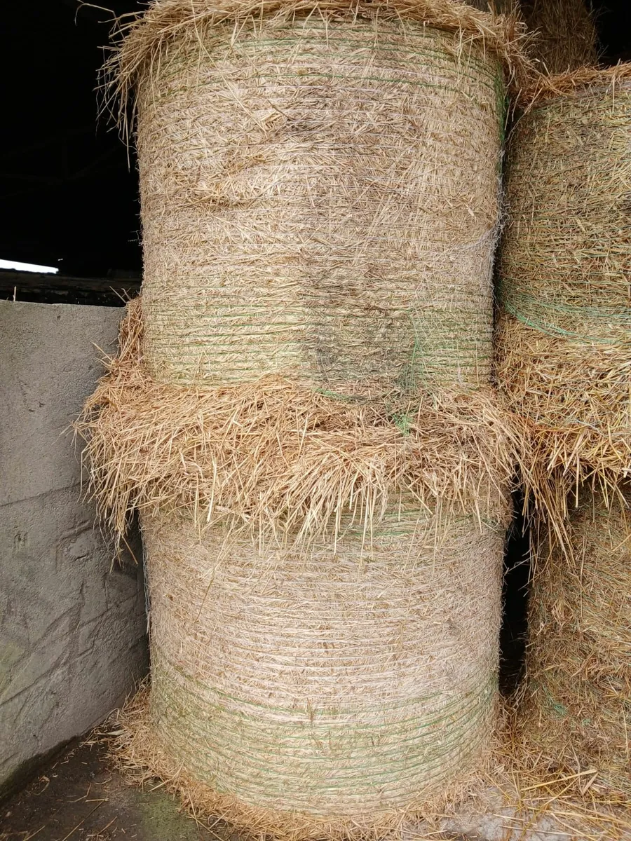 Straw