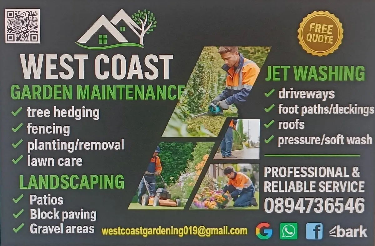 Pressure washing/Garden service - Image 1