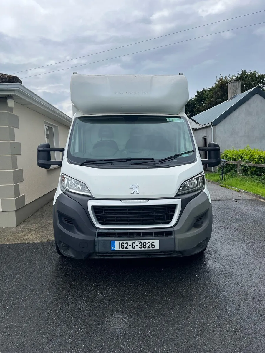 Peugeot Boxer Horsebox Conversion - Image 2