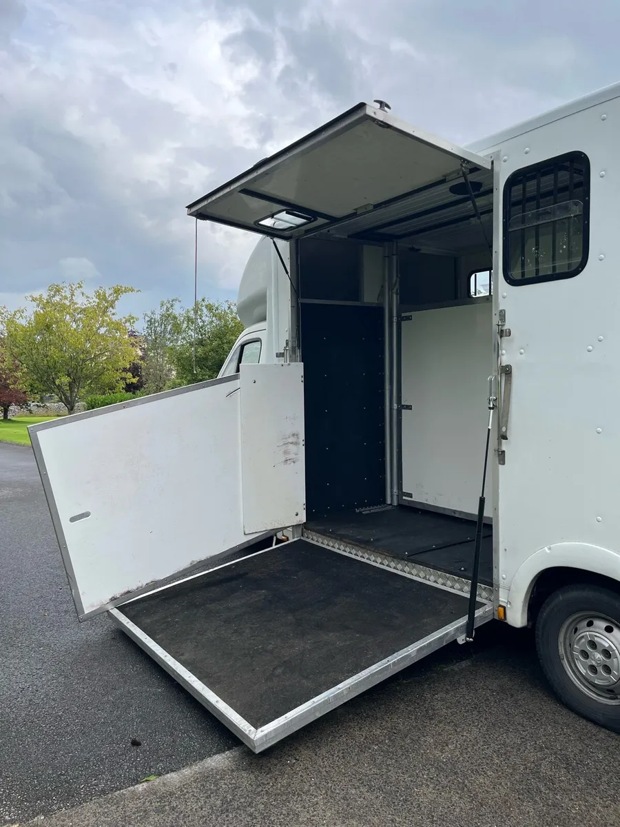 Peugeot Boxer Horsebox Conversion - Image 3