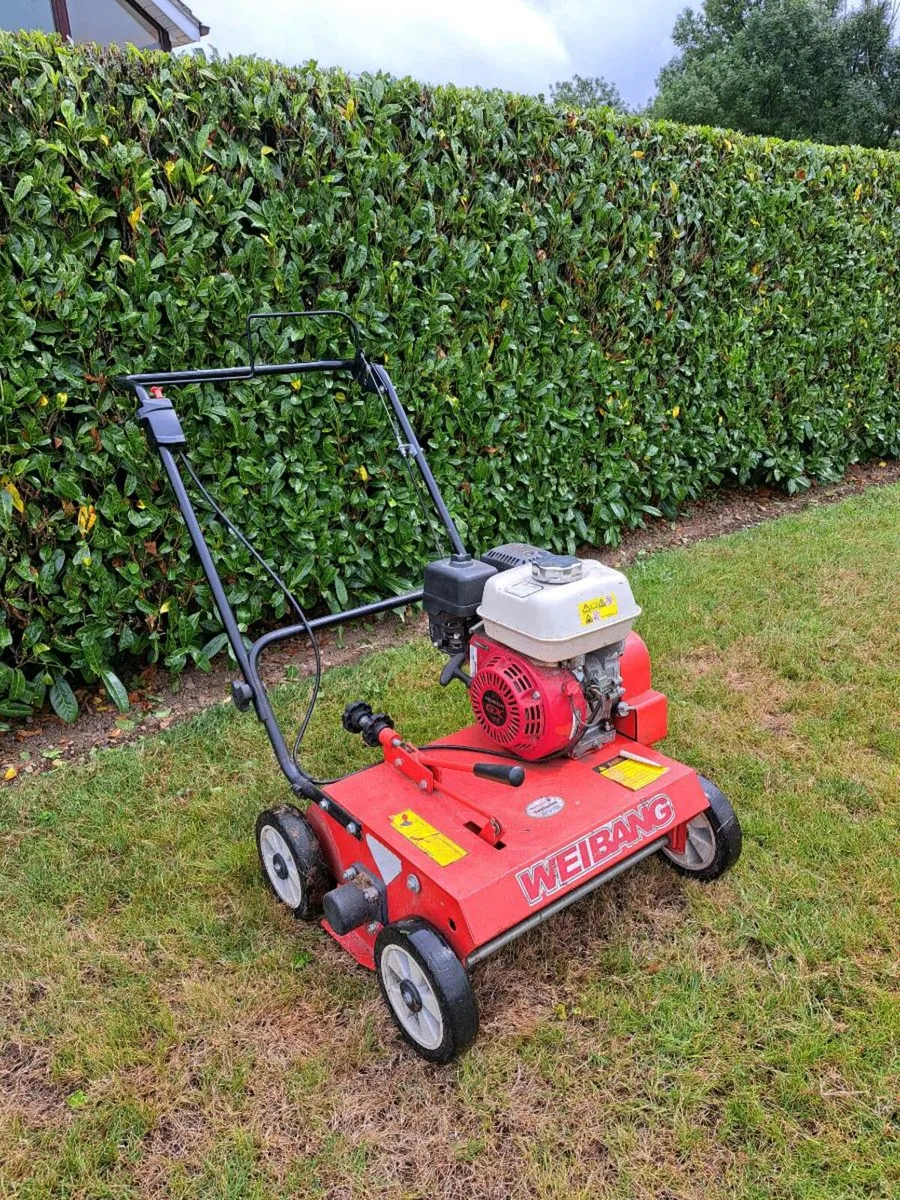 Weibang scarifier (Honda Engine) - Image 1