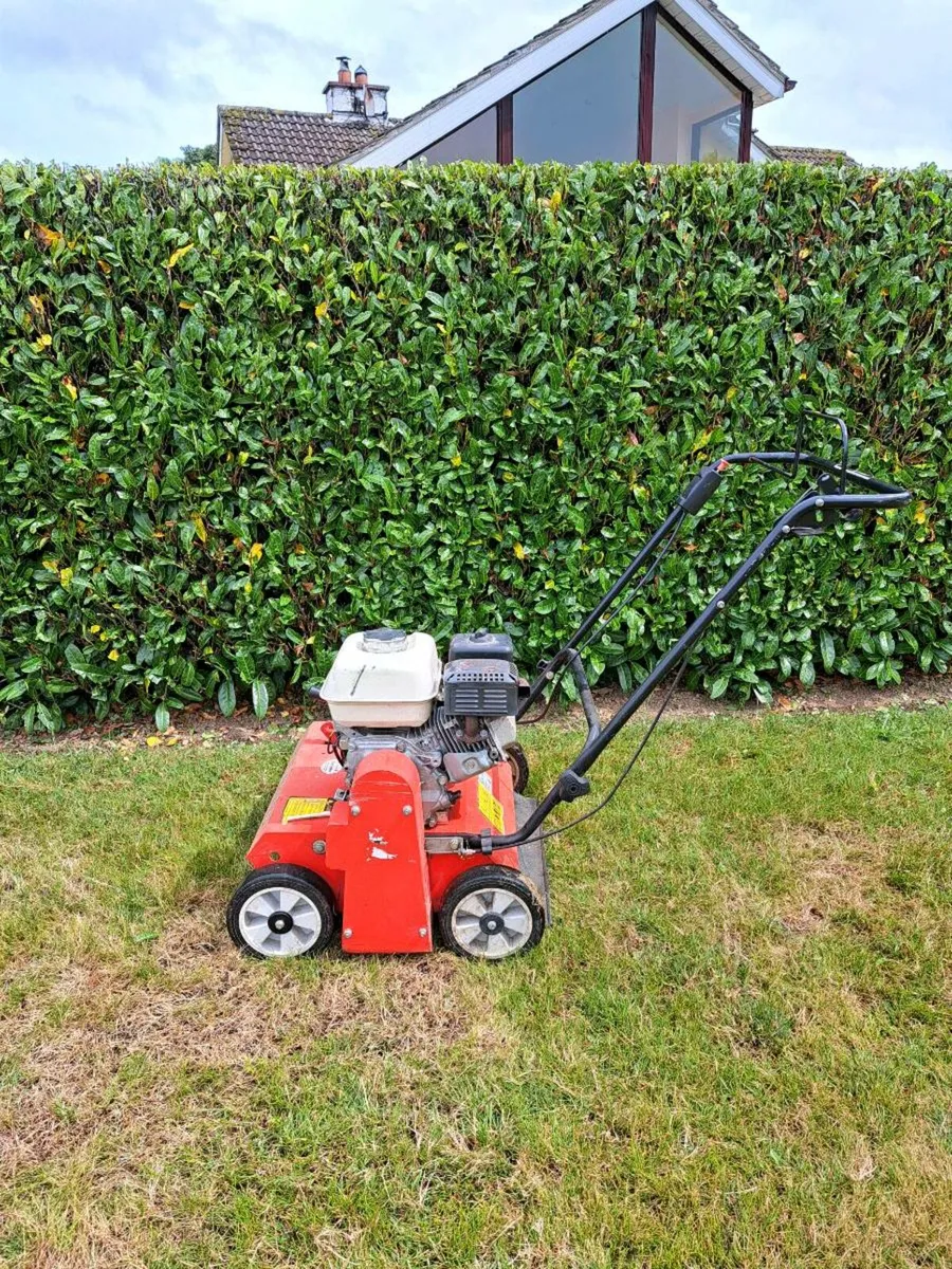 Weibang scarifier (Honda Engine) - Image 3