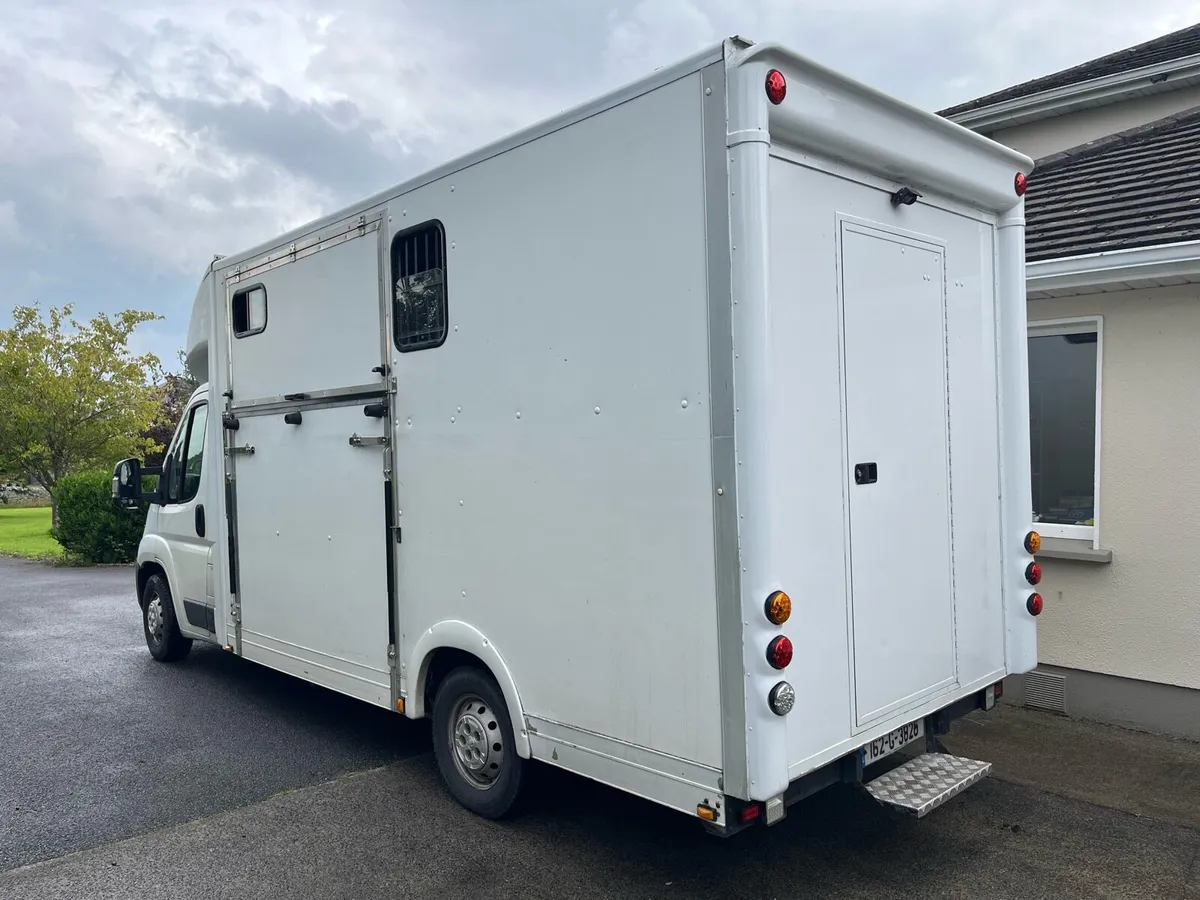 Peugeot Boxer Horsebox Conversion - Image 1