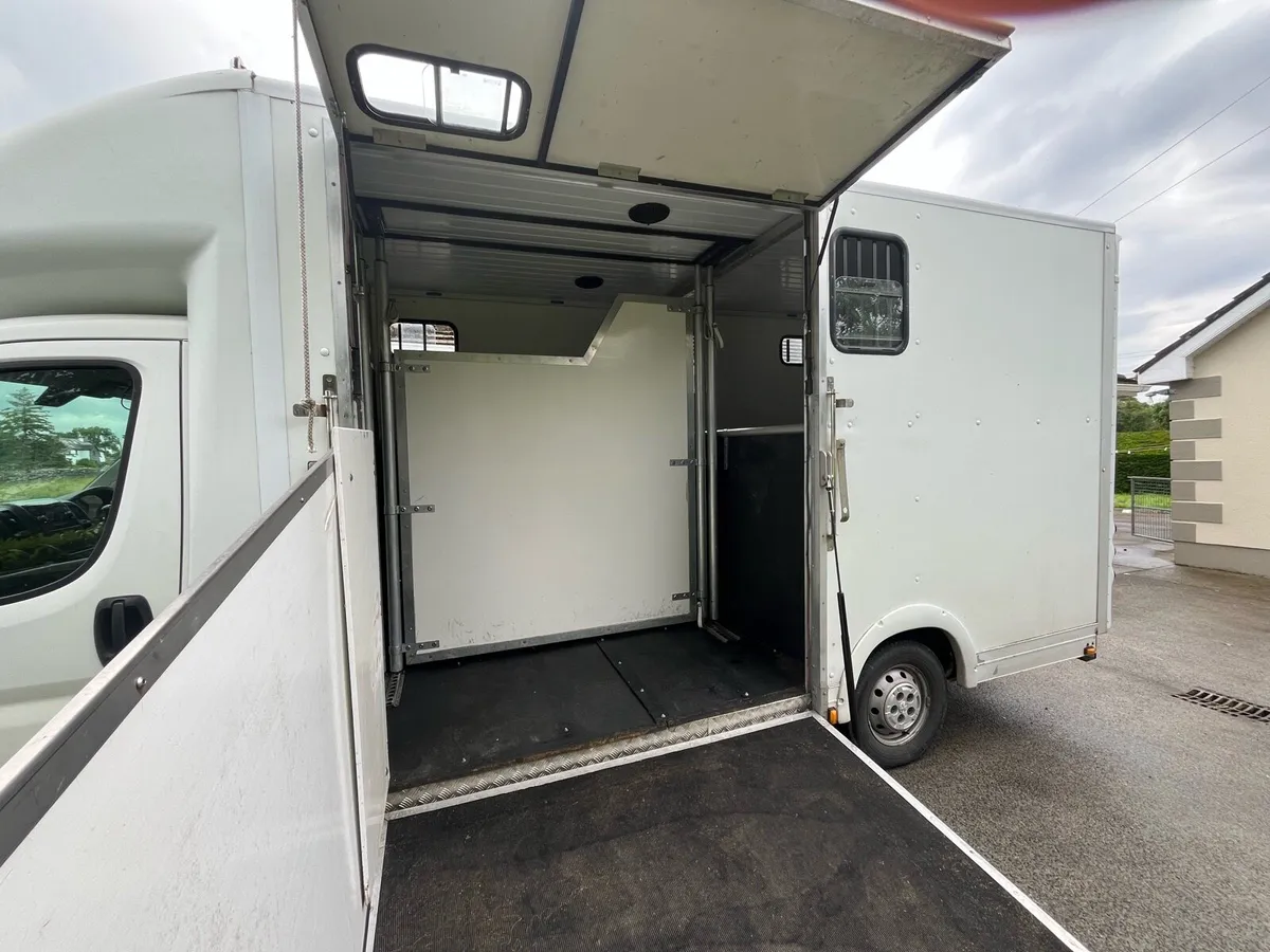 Peugeot Boxer Horsebox Conversion - Image 4